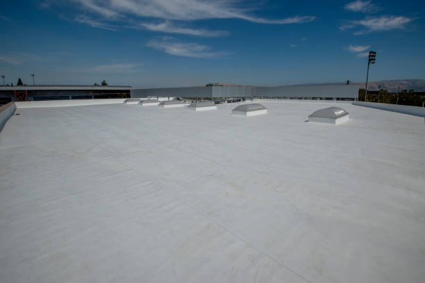 Roof Coating Services in Amelia, OH