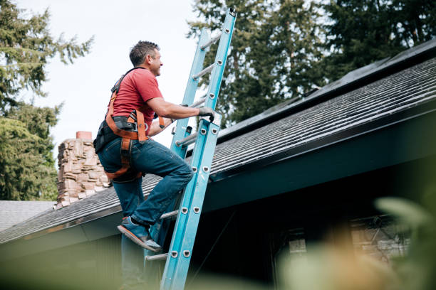 Best Roof Maintenance and Cleaning  in Amelia, OH